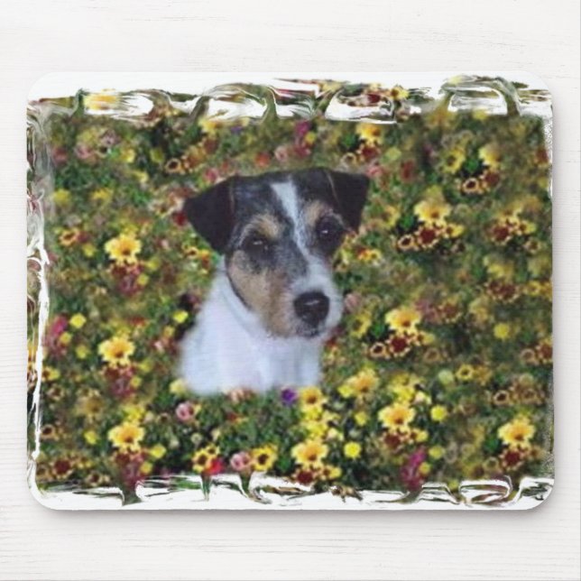 TAPIS DE SOURIS JACK RUSSELL EN FLEURS (Devant)