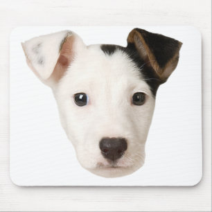 Tapis De Souris Jack Russell Terrier