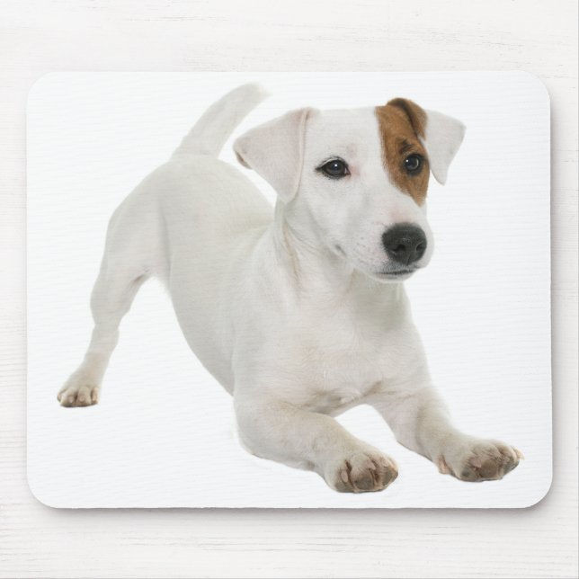 Tapis De Souris Jack Russell Terrier Puppy (Devant)
