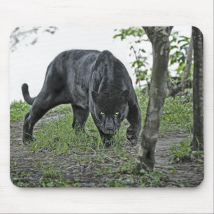 Tapis De Souris Jaguar noir égrappant Mousepad
