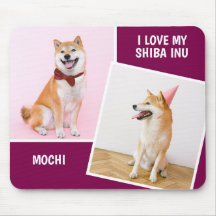 J'Aime Ma Shiba Inu Deux Photo