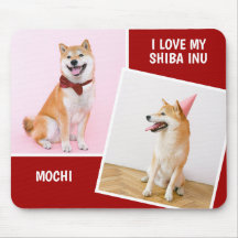J'Aime Ma Shiba Inu Deux Photo