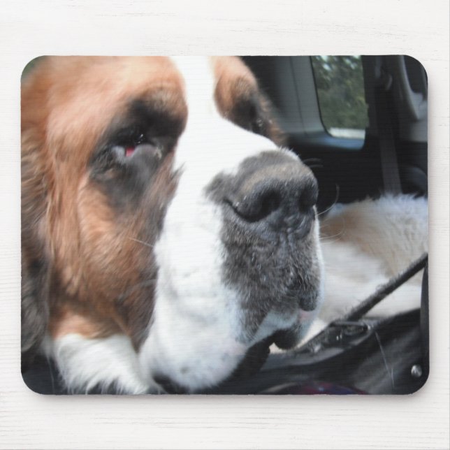 TAPIS DE SOURIS JAKE MOUSEPAD 3 DE ST BERNARD (Devant)