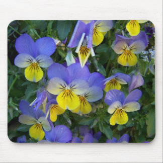 Tapis De Souris Jardin d'agrément