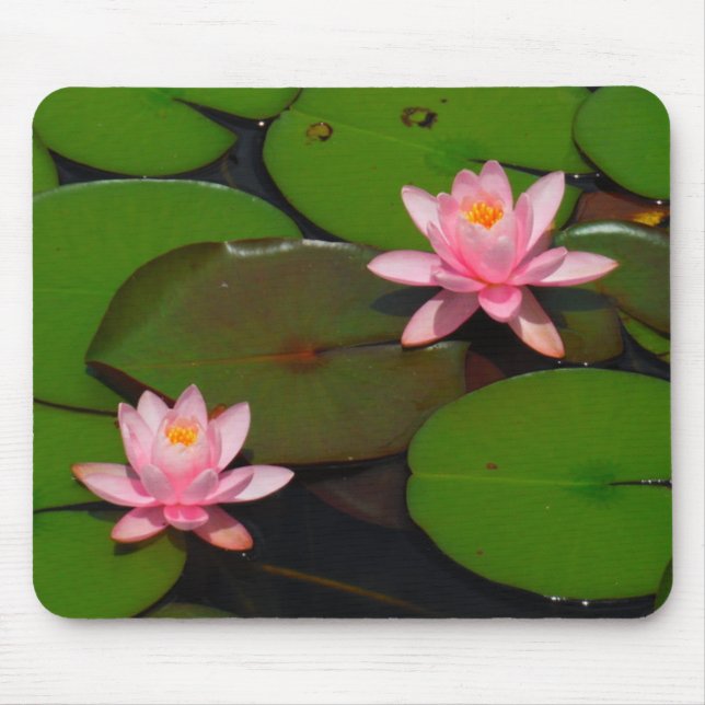 Tapis De Souris Jardin de fleurs de laine d'eau de lotus rose, (Devant)