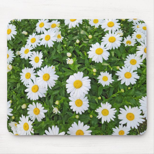 Tapis De Souris Jardin de marguerite d'été blanc (Devant)