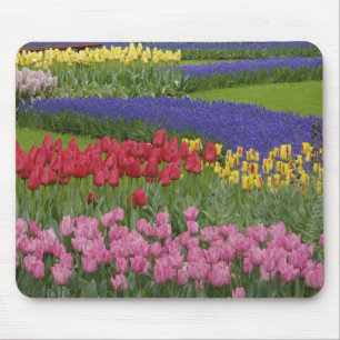 Tapis De Souris Jardin de tulipes, de muscaris et