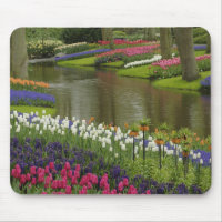 Jardin de tulipes et de jacinthes, Keukenhof Garde