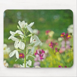 Tapis De Souris Jardin des parfums