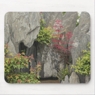 Tapis De Souris Jardin familial de Bao, Huangshan, Chine.