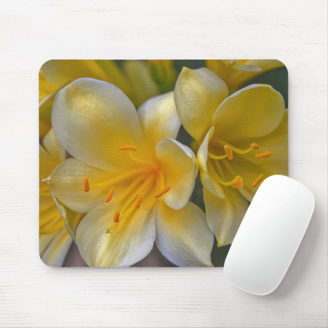 Tapis De Souris Jardin Lily Jaune Jardin Fleurs Souris Pad (Avec souris)