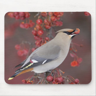 Tapis De Souris Jaseur de Bohème Mousepad