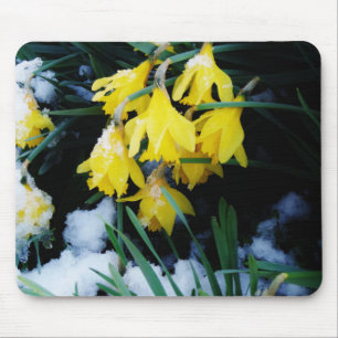 Tapis De Souris Jaune Daffodils fleurs dans la neige