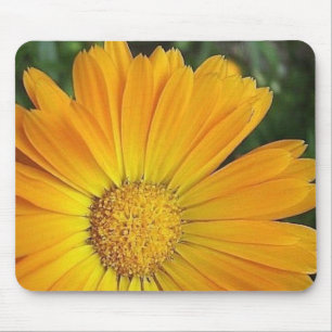 Tapis de souris jaune de marguerite