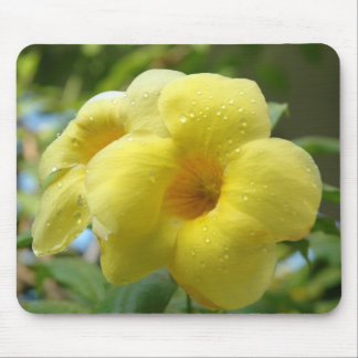 Tapis De Souris ~ jaune Mousepad de fleur
