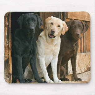 Tapis De Souris Jaune, noir, Brown Labrador Retriever Mousepad