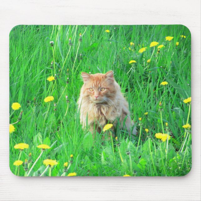 Tapis De Souris Je suis un lion dandy (Devant)
