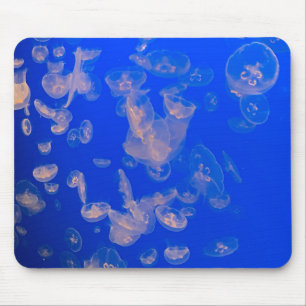 Tapis De Souris Jellyfish Baignade Photo Océan