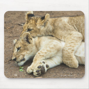 Tapis De Souris Jeu de deux petits animaux de lions