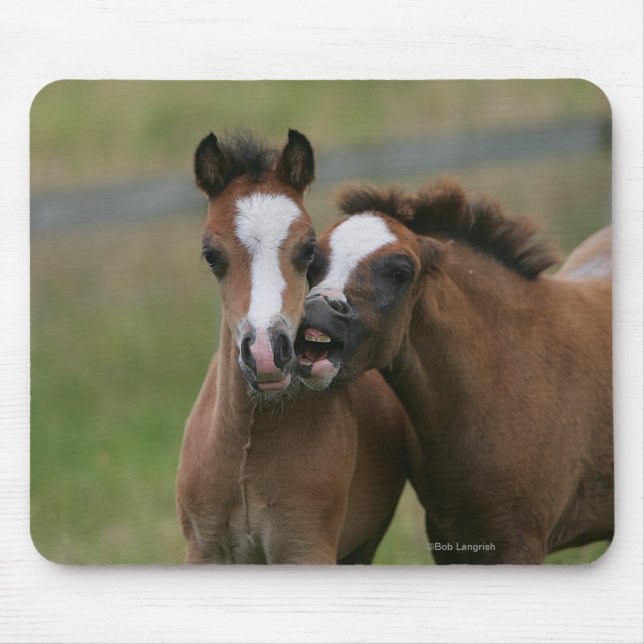 Tapis De Souris Jeu de poulains (Devant)