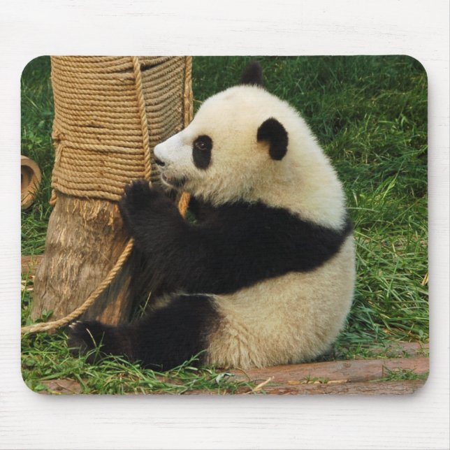 Tapis De Souris Jeune panda géant (Devant)