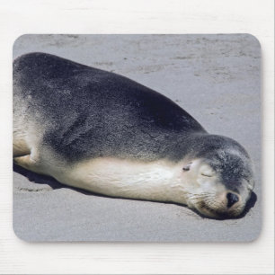 Tapis De Souris Jeune phoque dormant sur la plage - Australie