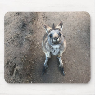 Tapis De Souris Joey Kangaroo Pad