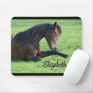 Tapis De Souris Joli Cheval Brown allongé dans l'herbe