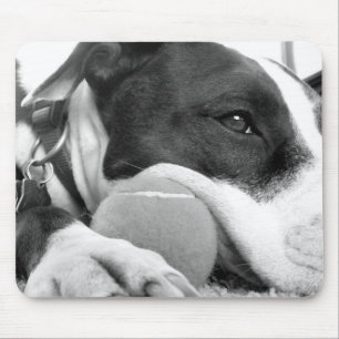 Tapis De Souris joli chien pitbull au look triste noir et blanc av