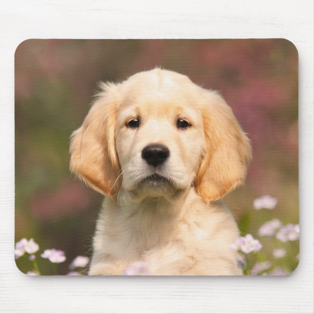 Tapis De Souris Joli Golden Retriever Chien Portrait Chiot, (Devant)