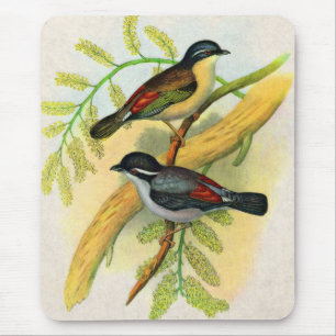 Tapis De Souris joli imprimé d'oiseaux
