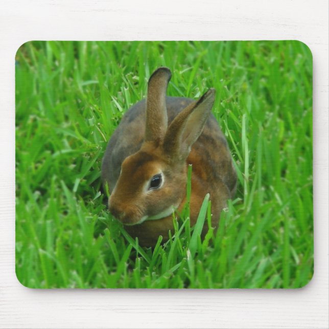 Tapis De Souris Joli lapin (Devant)