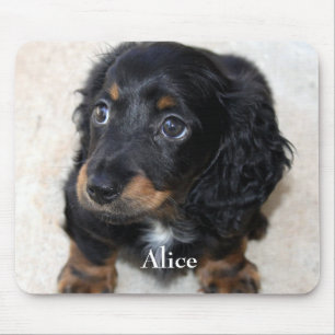 Tapis De Souris Joli noir Dachshund Chien Chien Chien Chien Pet So