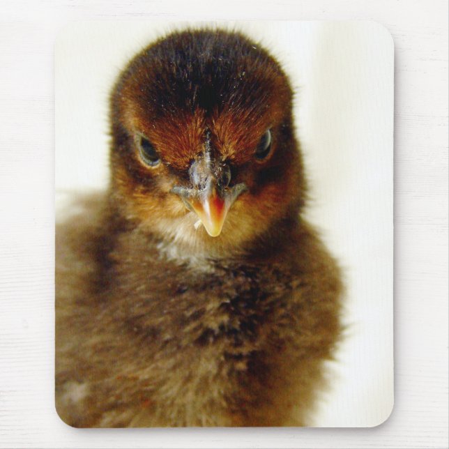 Tapis De Souris Joli Petit Chick (Devant)