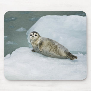 Tapis De Souris Joli phoque du port sur neige