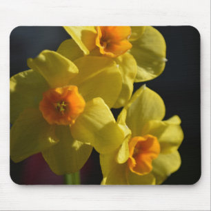 Tapis De Souris Jolie couleur jaune vif fleur de jonquille