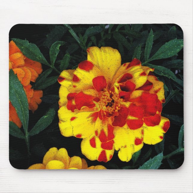 Tapis De Souris Jolie Fleurs de Marigold rouge et jaune (Devant)