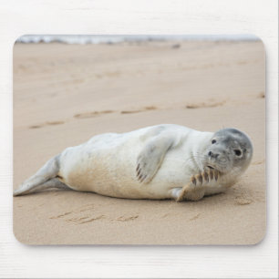 Tapis De Souris Jolie Pose de phoque sur une plage