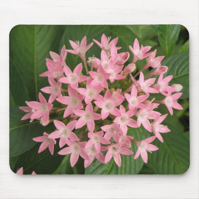 Tapis De Souris Jolie rose Fleurs Tropicales Mousepad (Devant)