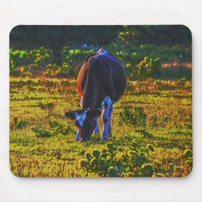 Tapis De Souris Jolie Vache Texas Art Pad (Devant)