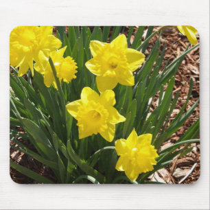 Tapis De Souris Jonquille Mousepad