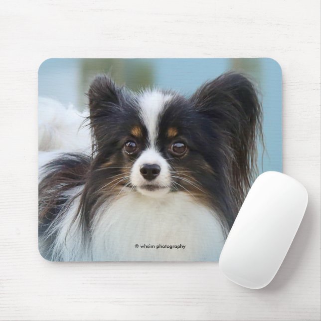 Tapis De Souris Jouet Papillon mignonne Chien espagnol à l'quai (Avec souris)