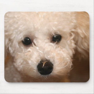 Tapis De Souris Jouet Poodle Chiot Mousepad