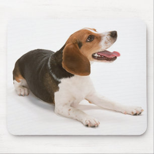 Tapis De Souris Joyeux Beagle Mousepad