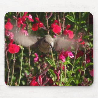 Tapis De Souris Joyeux Mousepad colibri