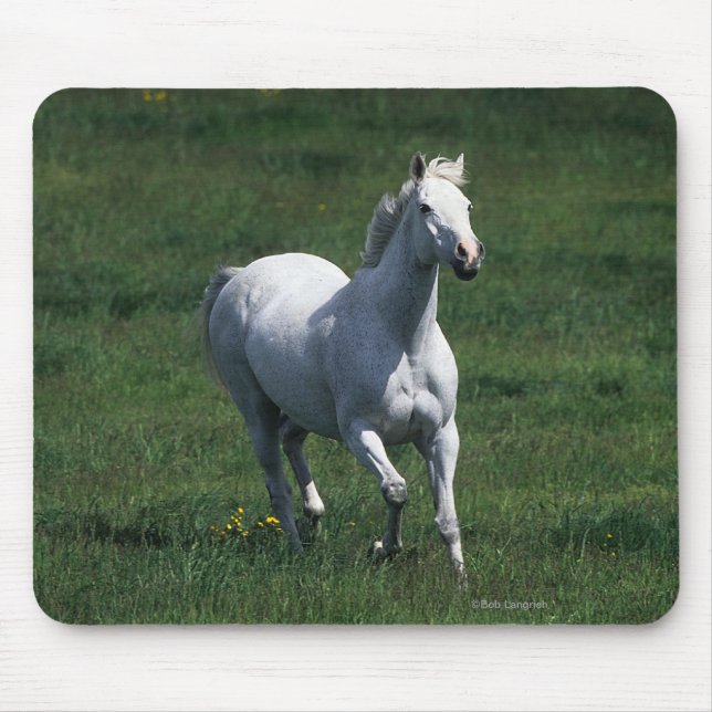 Tapis De Souris Jument de pur sang (Devant)