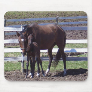 Tapis De Souris Jument et colt