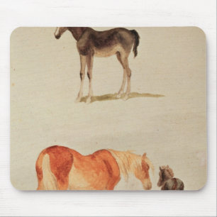 Tapis De Souris Juments et poulains