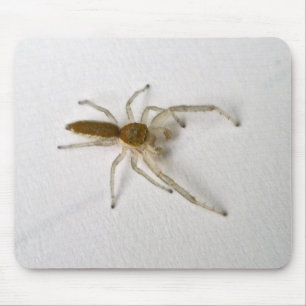 Tapis De Souris Jumping Homme Brown Spider Series Articles corresp