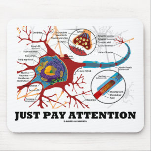 Tapis De Souris Juste attention de salaire (neurone/synapse)